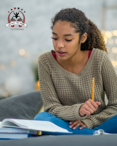 Online Tutoring Support